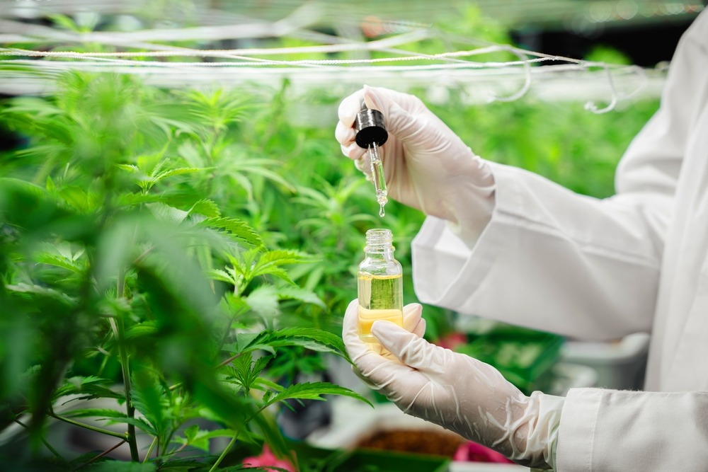 Preparing for the Doctor’s Visit: How to Discuss Starting CBD with Your Primary Care Physician