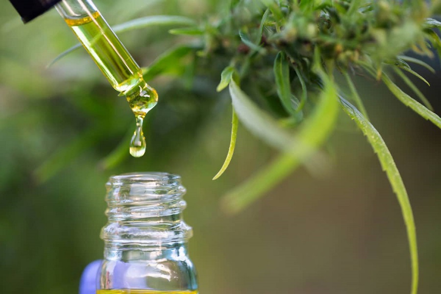 CBD Oil Extraction Methods: How Processing Shapes the Final Product’s Quality