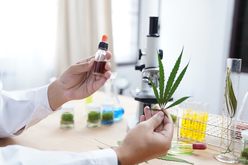 How Researchers Study CBD: Clinical Trials, Evidence, and Scientific Limitations